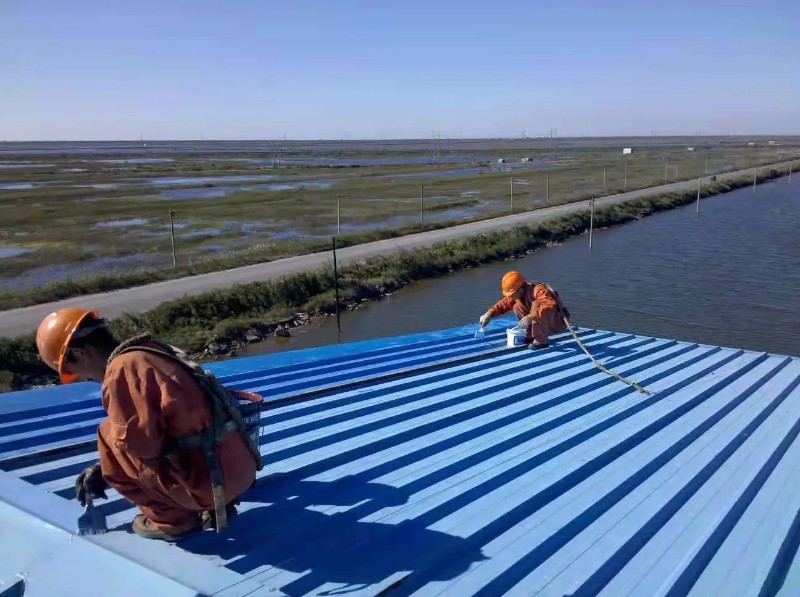 泉港钢结构屋面漏水原因